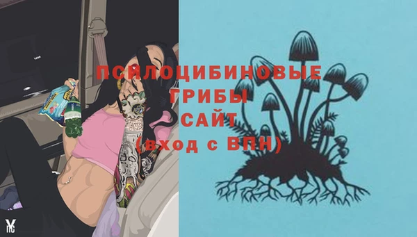 гашик Абдулино