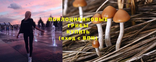 гашик Абдулино