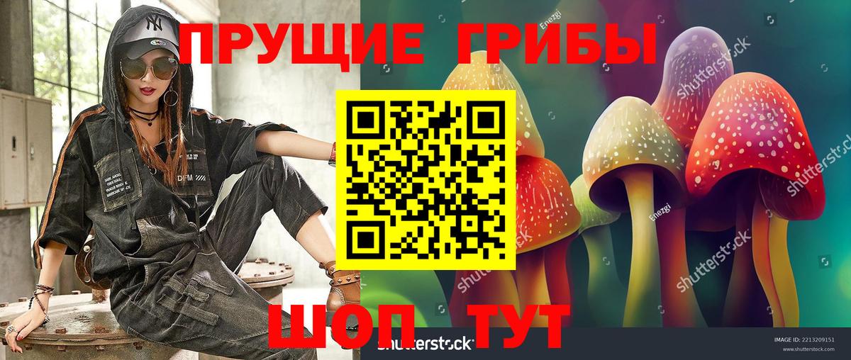Псилоцибиновые грибы Magic Shrooms Саранск