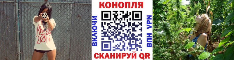 как найти   Саранск  Шишки марихуана гибрид 